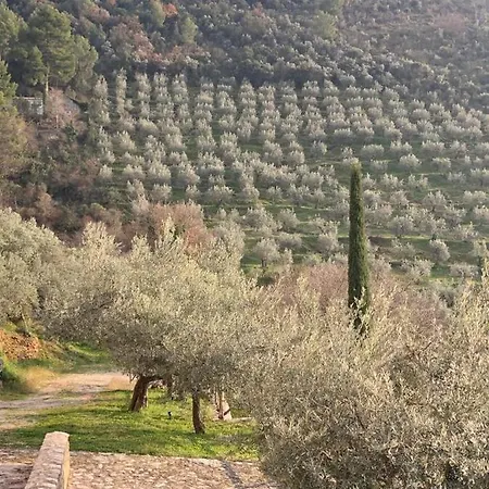 Borgo Dei Conti Campello Сasa de vacaciones *